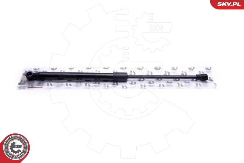 Gas Spring, bonnet